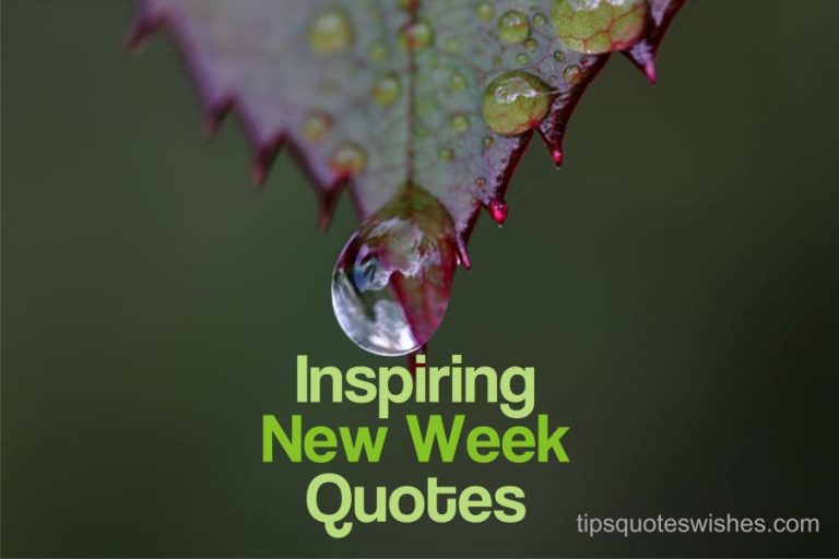 110 Inspirational Quotes To Start The Week | Monday Quotes For Success