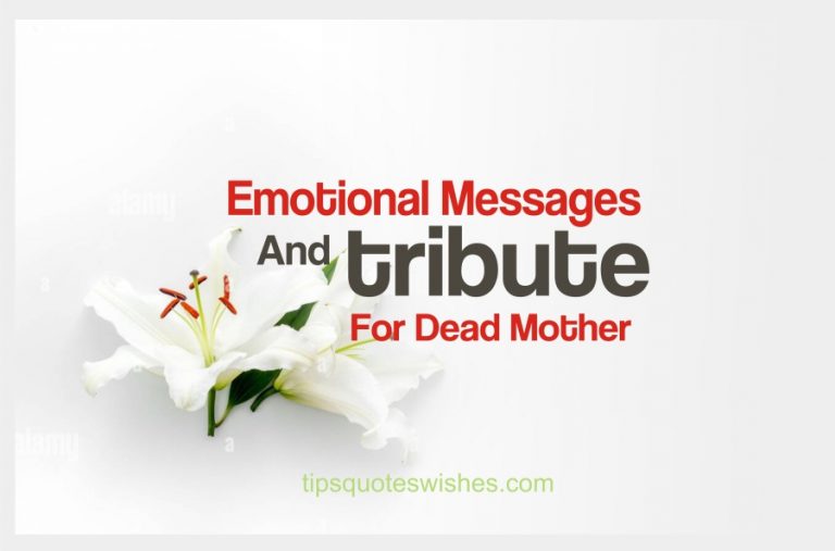 [2023] Short Emotional Tribute To A Mother Who Passed Away
