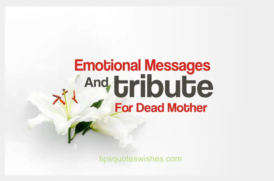 Emotional Tribute To A Mother Who Passed Away