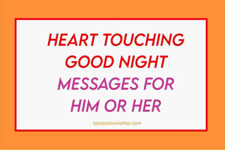55 Sweet Heart Touching Good Night Text For Her / Him