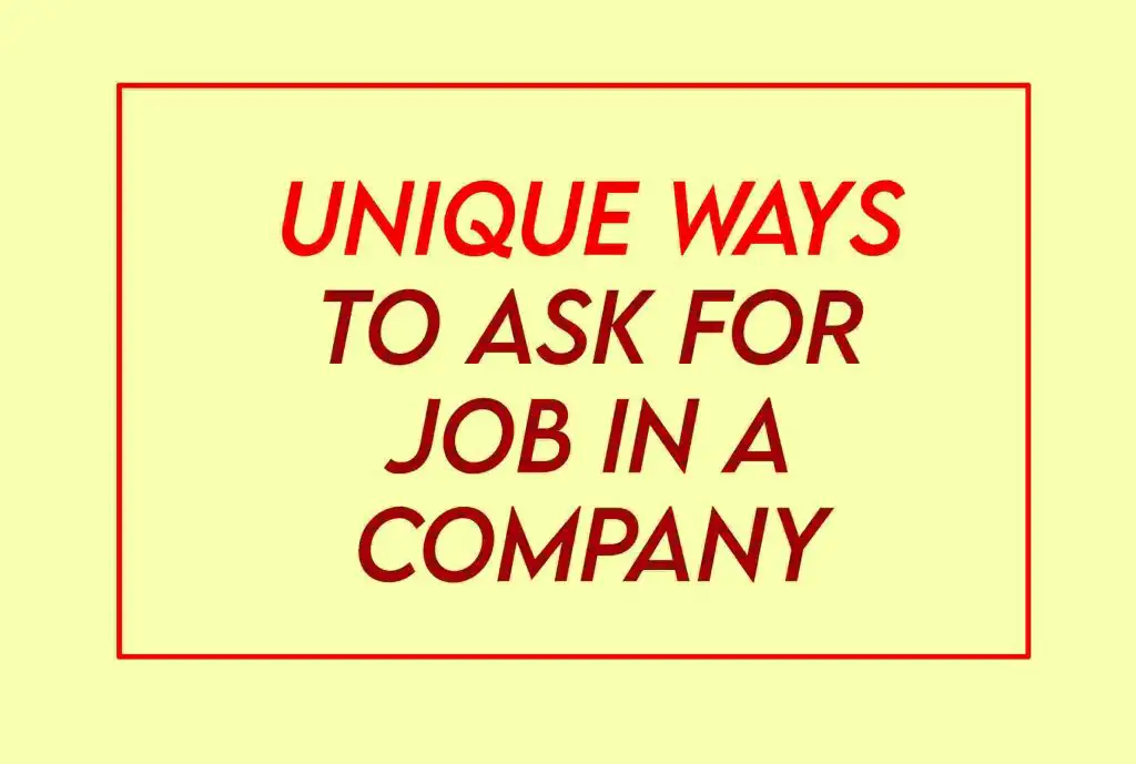  2024 Sample Email Asking For A Job Opportunity To Companies 